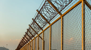 Federal Crimes