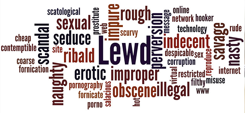 What Is Lewd And Lascivious Conduct 